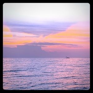 Meet your Posher, Avery